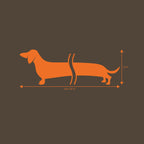 Long Wiener