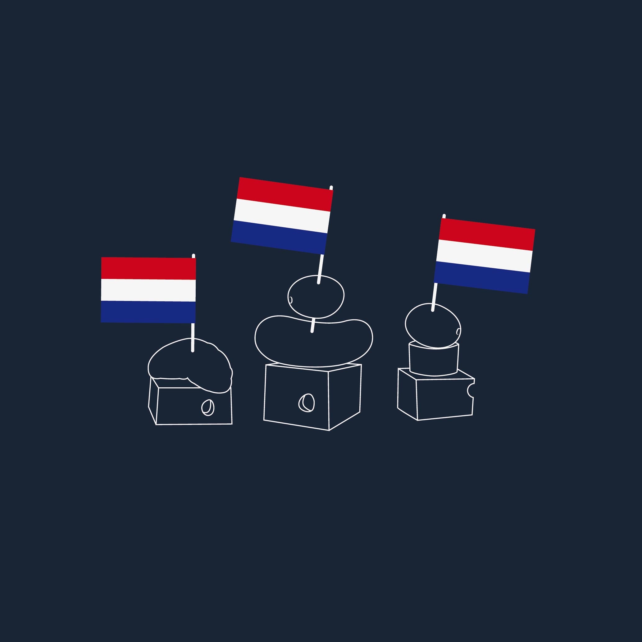 A Dutch Party