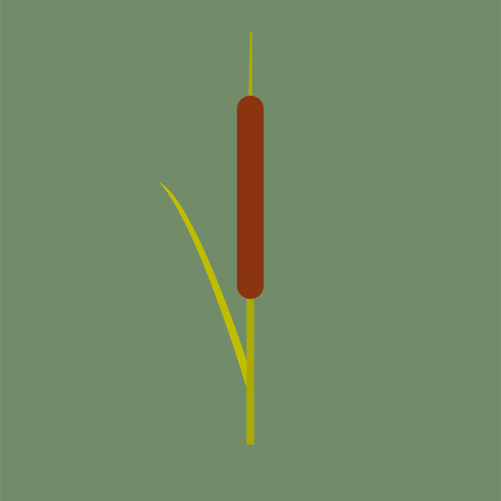 Grutte Tuorrebout