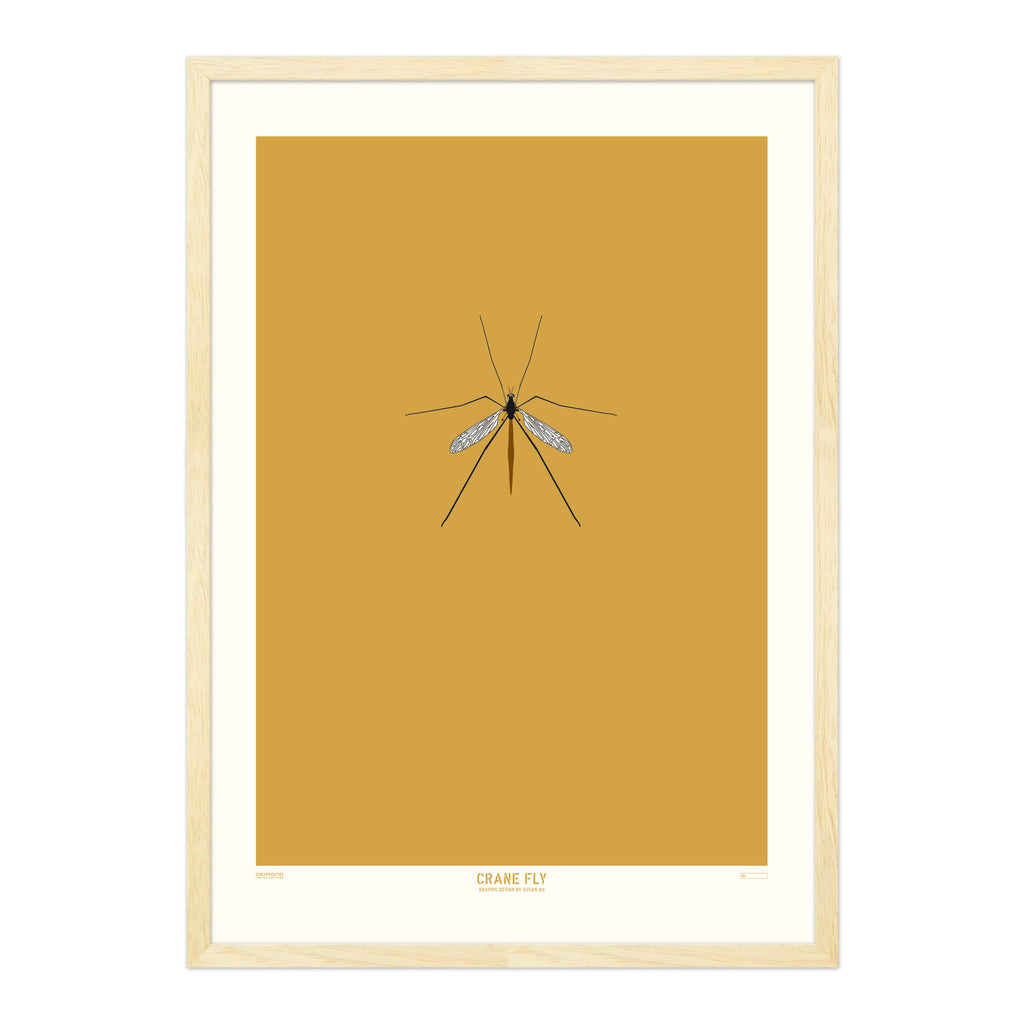 Crane Fly - A2