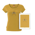 Crane Fly - A4
