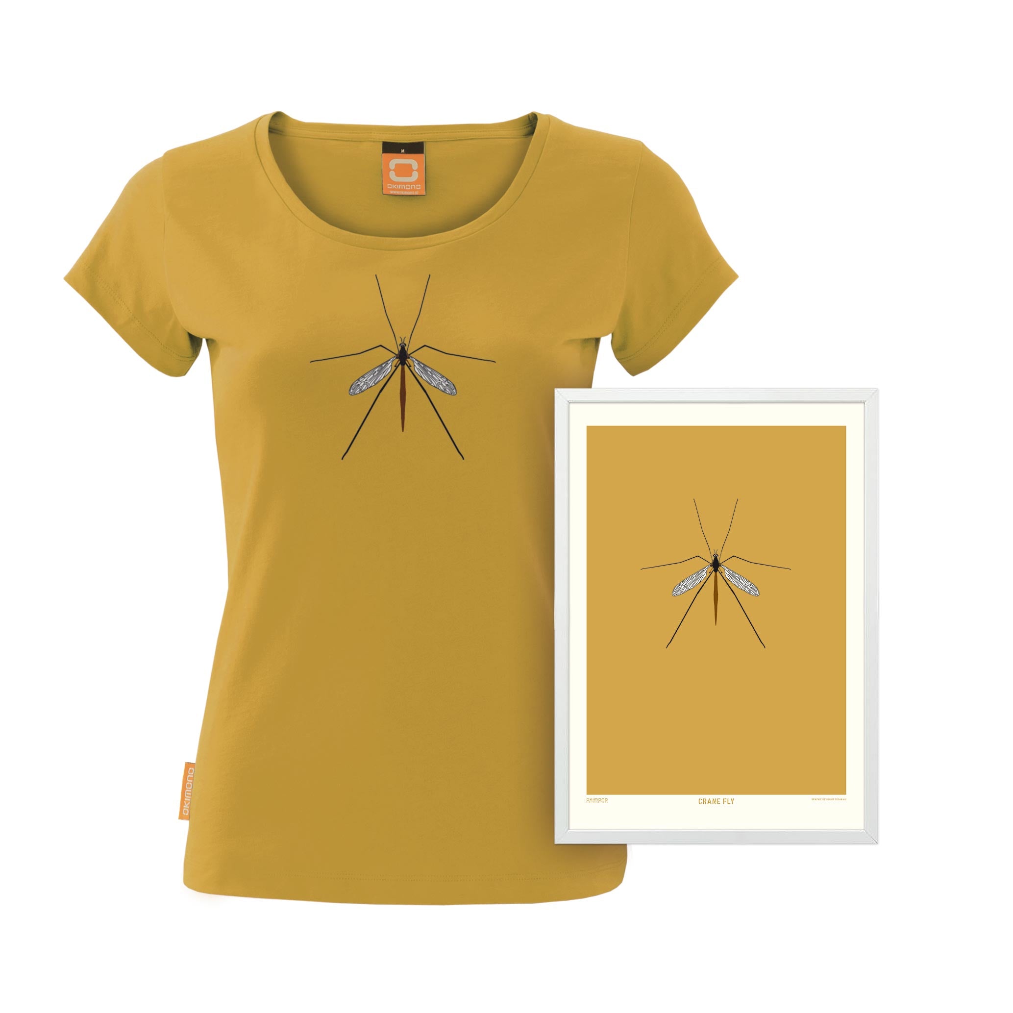 Crane Fly - A4