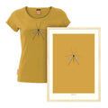 Crane Fly - A2