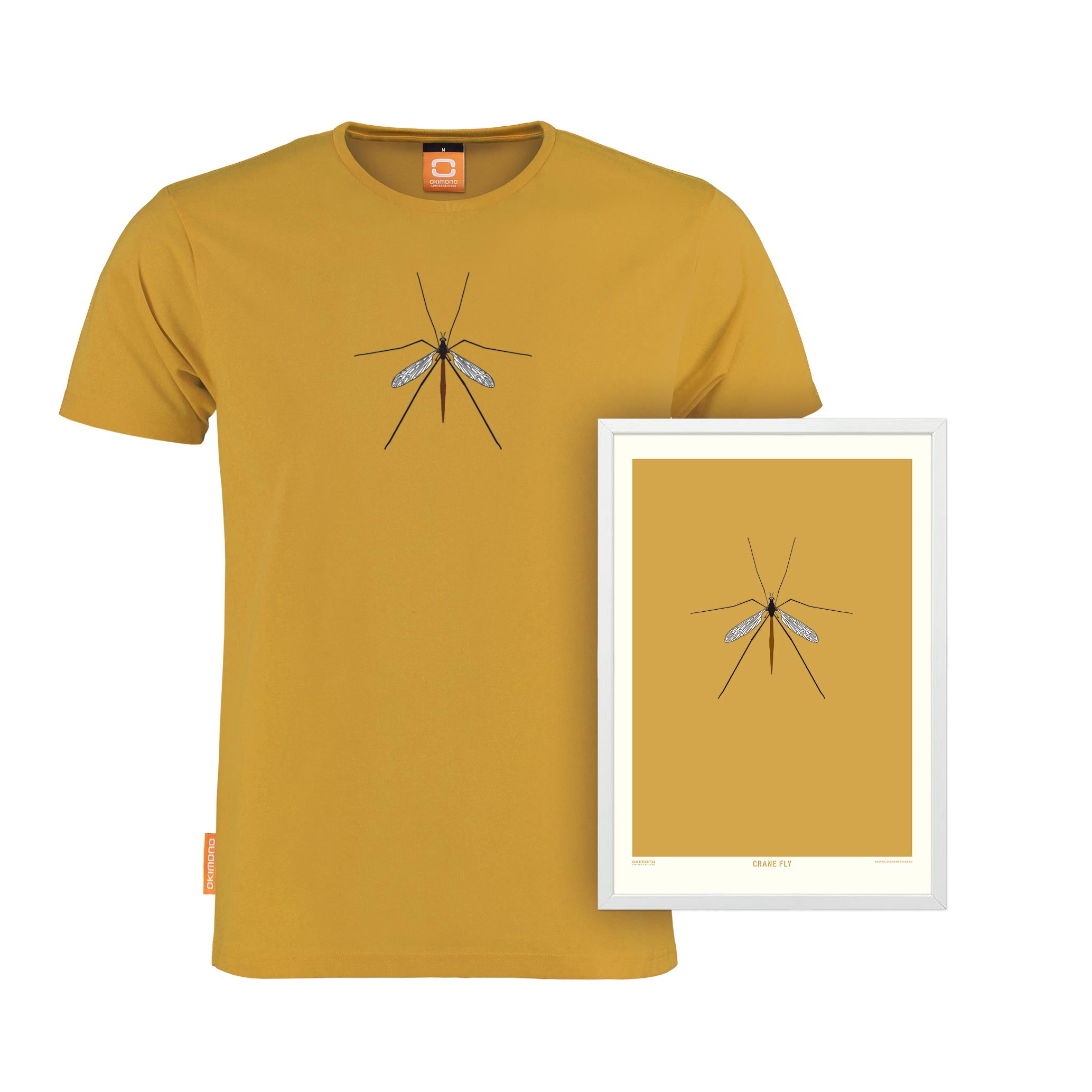 Crane Fly - A4