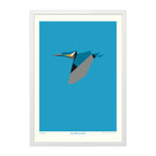 Alcedo Atthis - A4