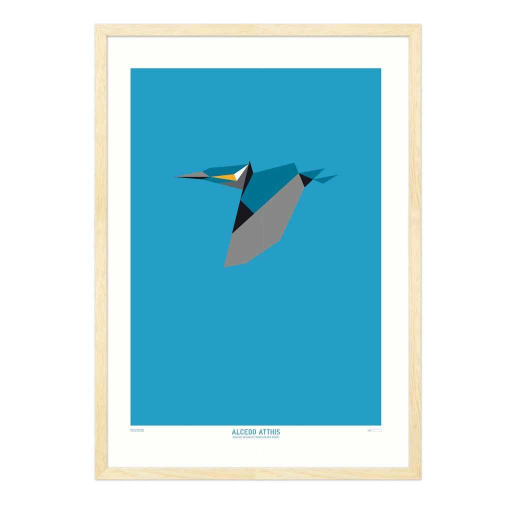 Alcedo Atthis - A2