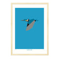 Alcedo Atthis - A2