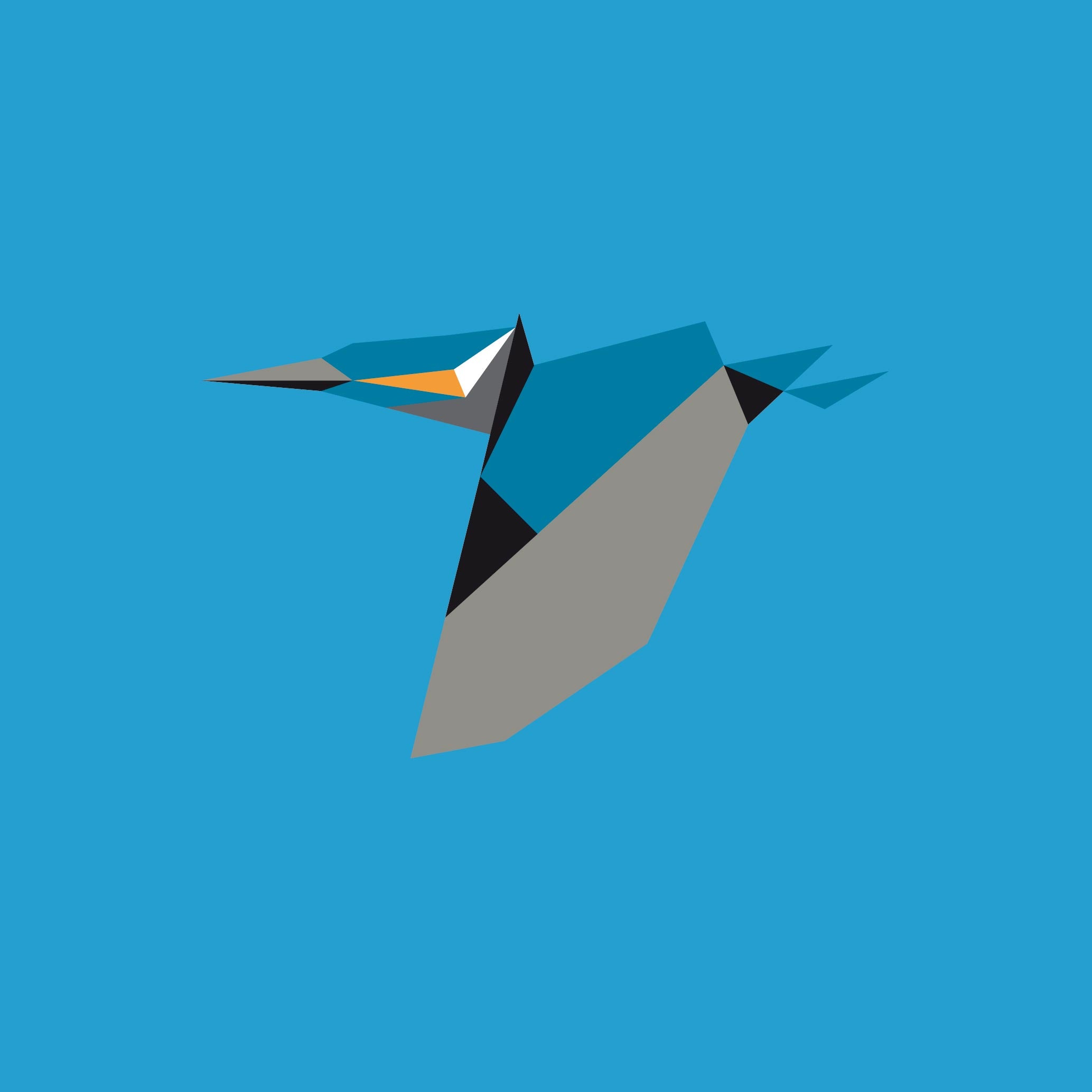 Alcedo Atthis - A2