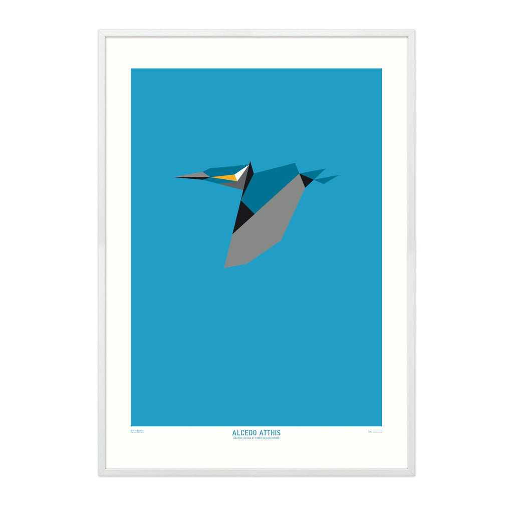 Alcedo Atthis - A2