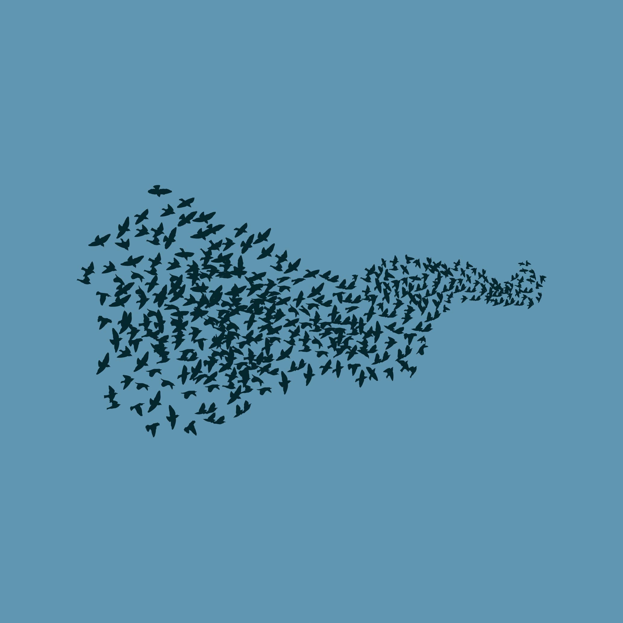 Murmuration