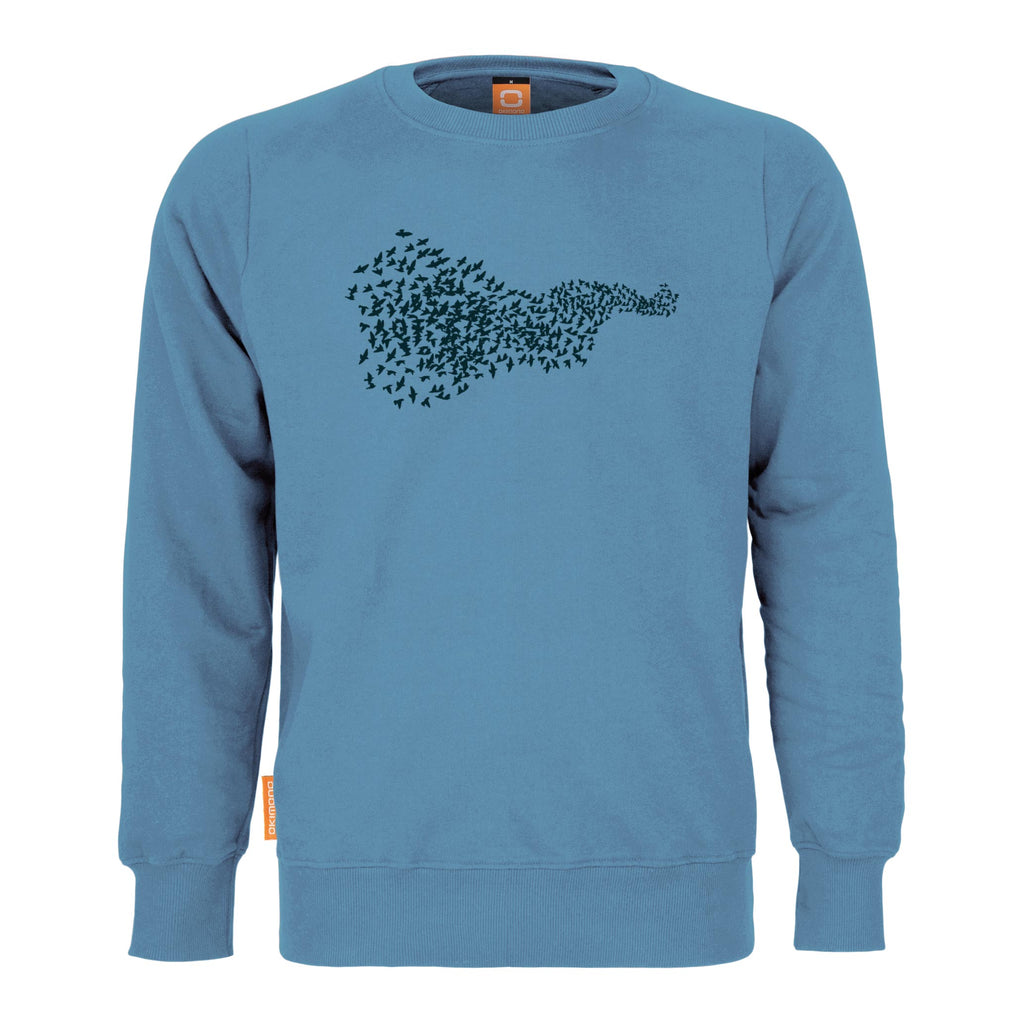 Murmuration