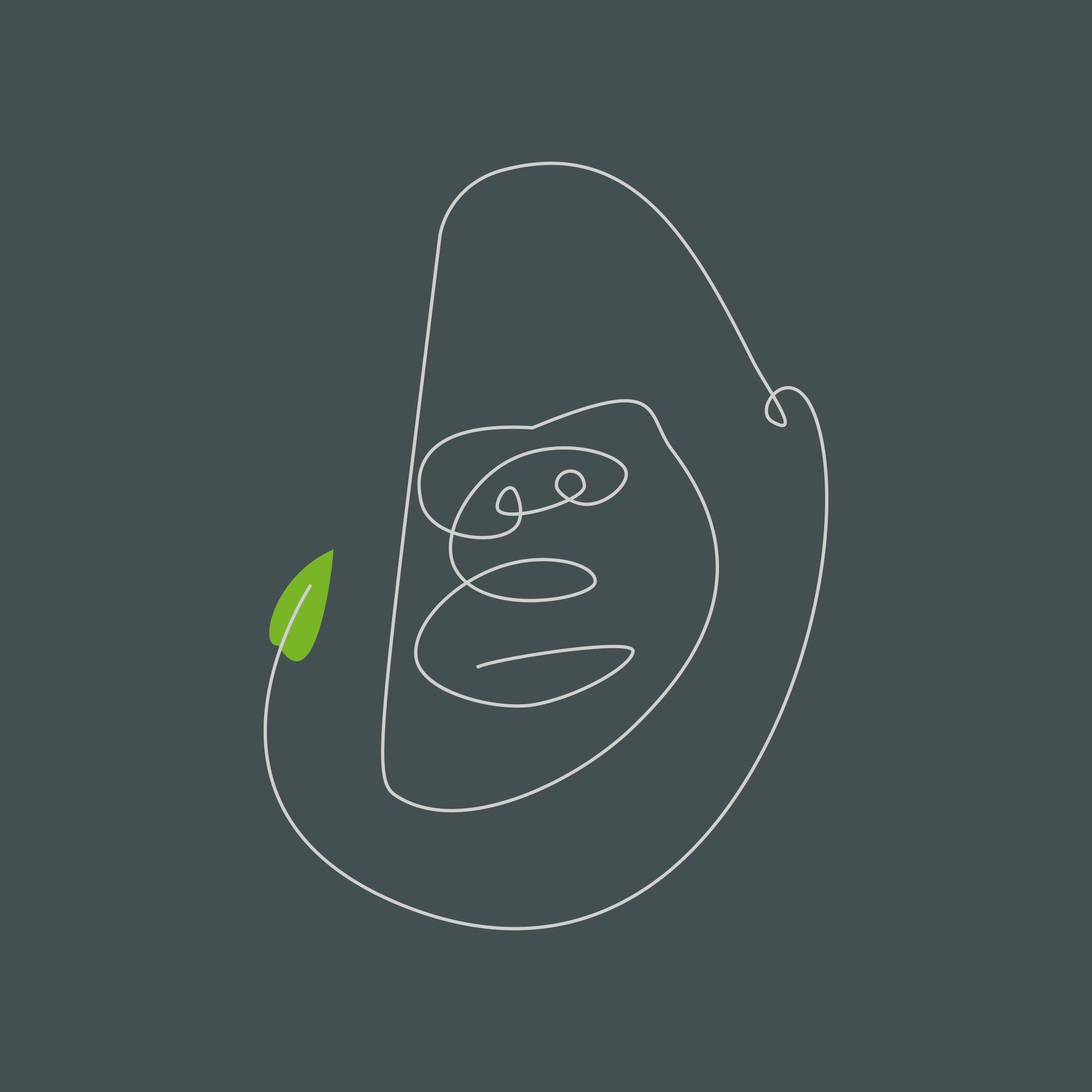 Bongo