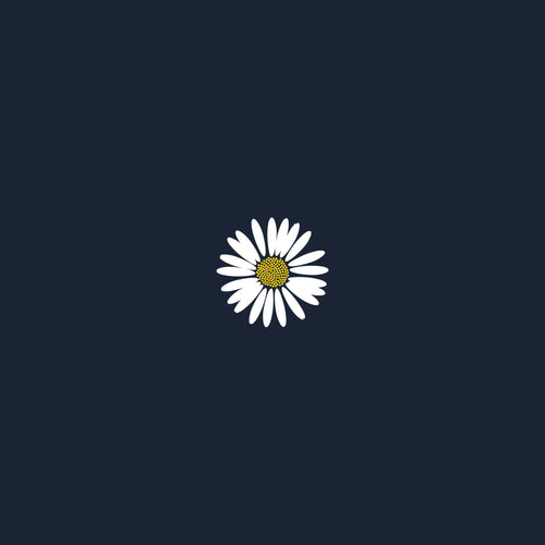Bellis Perennis