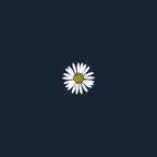 Bellis Perennis