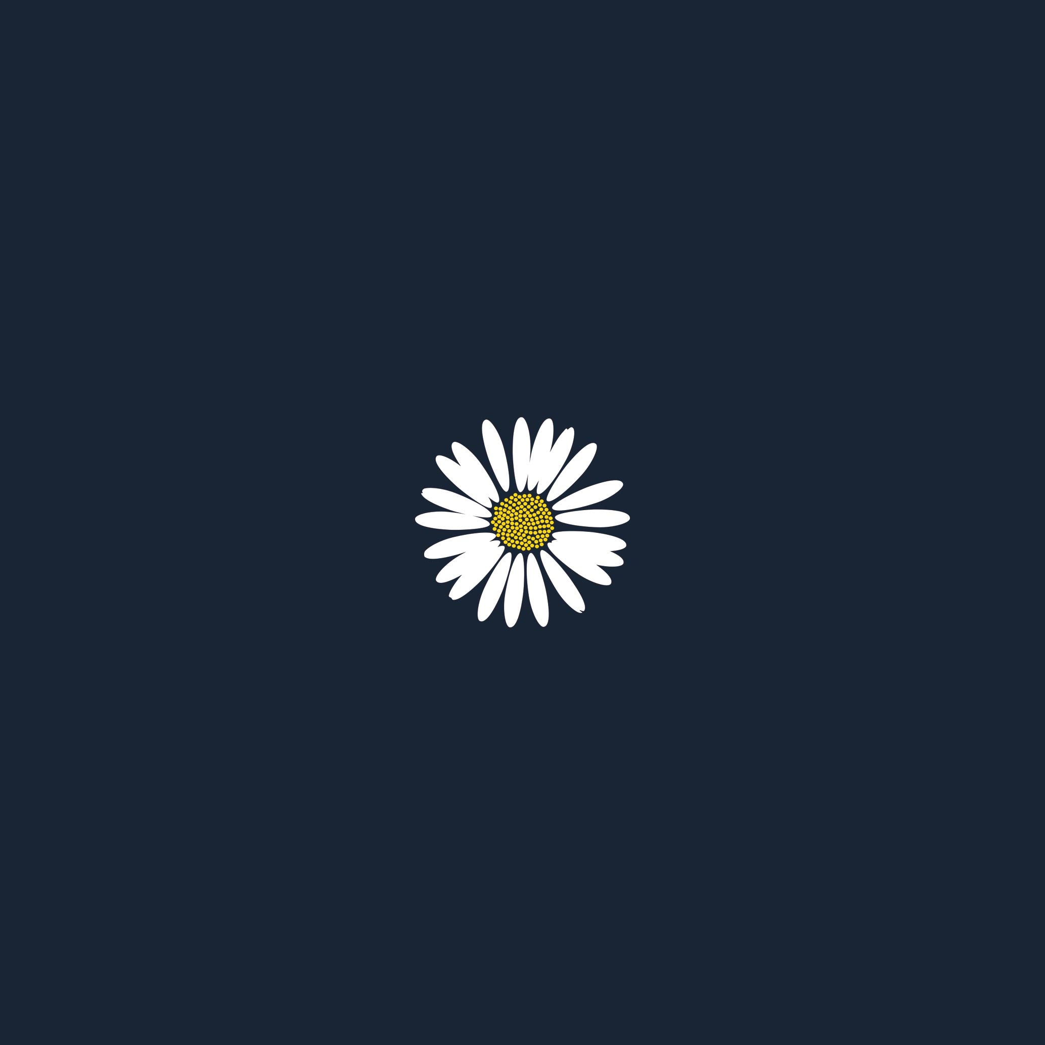 Bellis Perennis