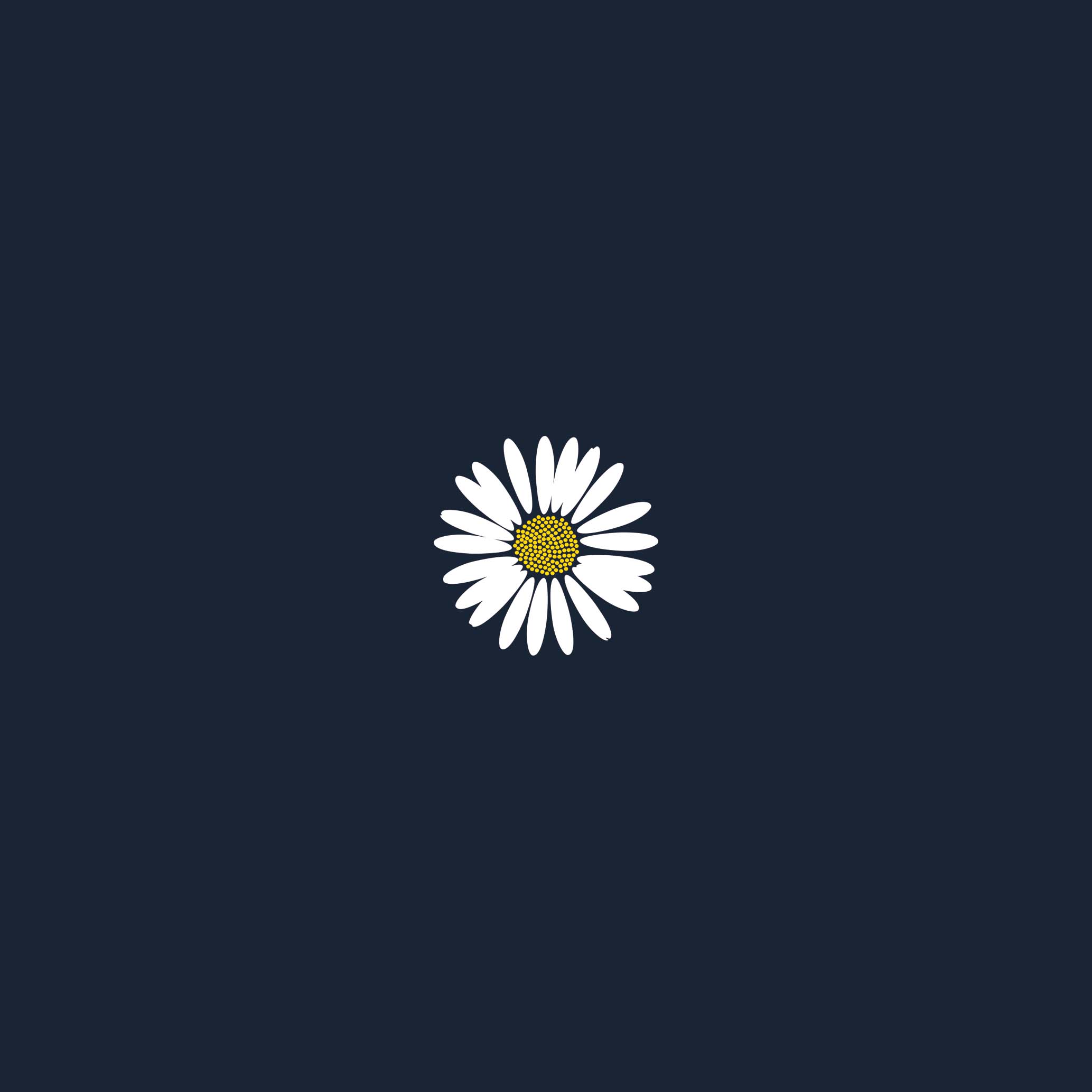 Bellis Perennis