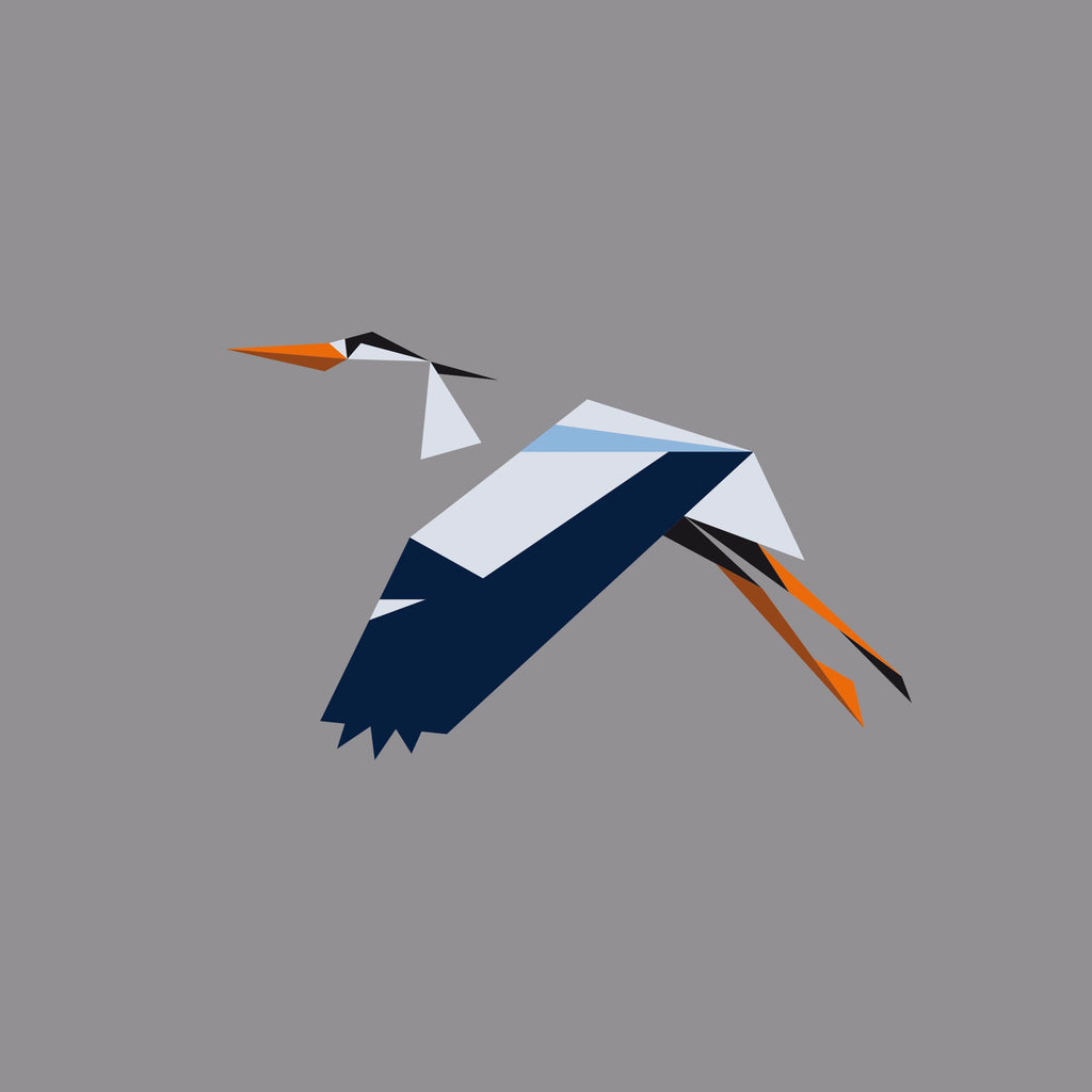 Ardea Cinerea