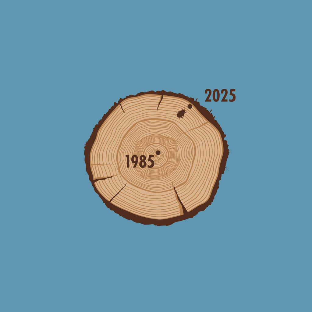 Aged To Perfection (1985 Edition)