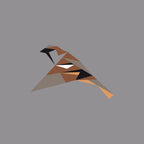 Passer Domesticus