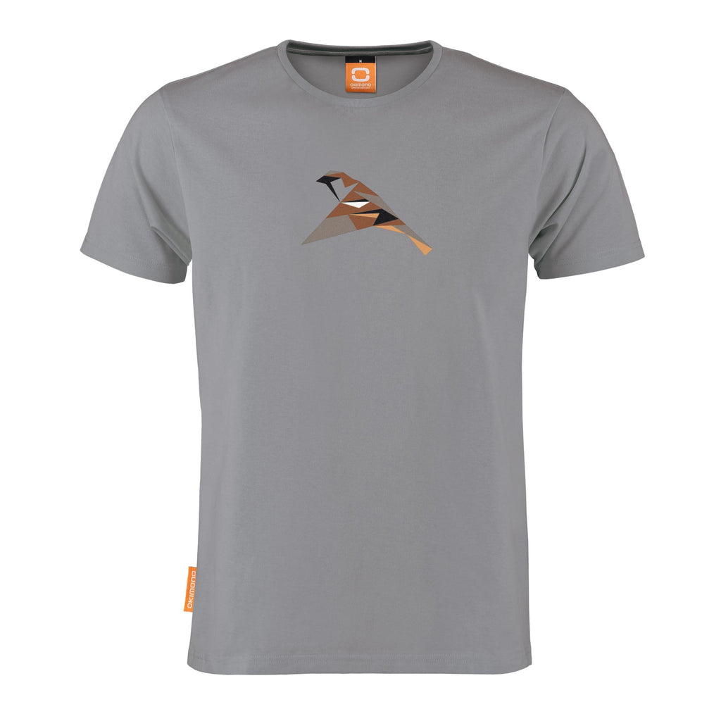 Passer Domesticus