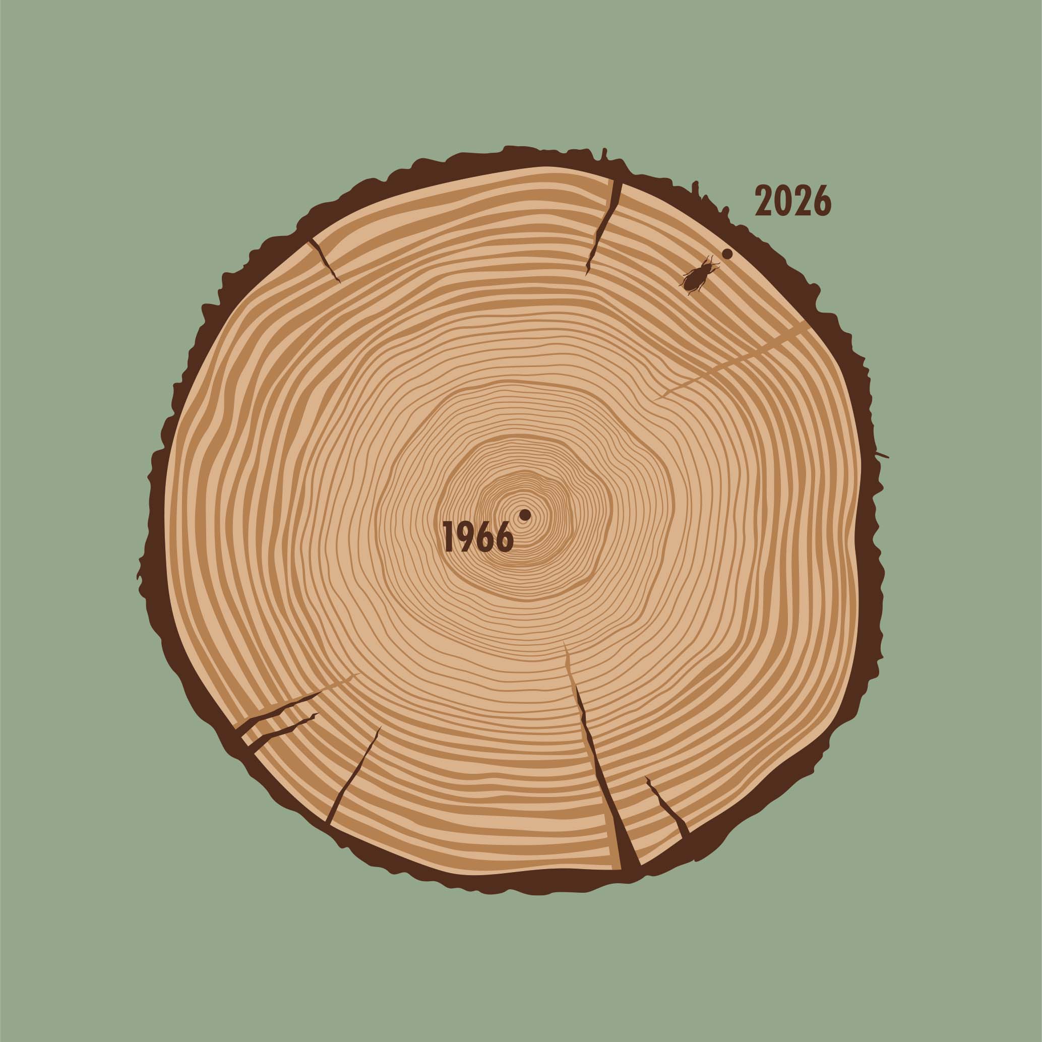 Aged To Perfection (1966 Edition)