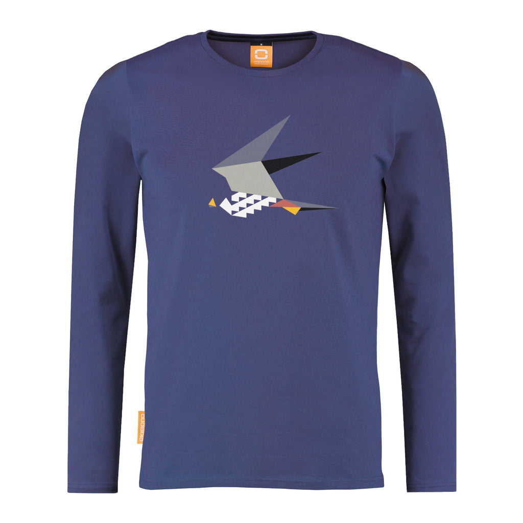 Falco Subbuteo