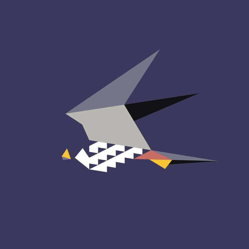 Falco Subbuteo