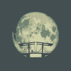 Maanstad 020_Magere Brug