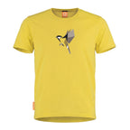Parus Major