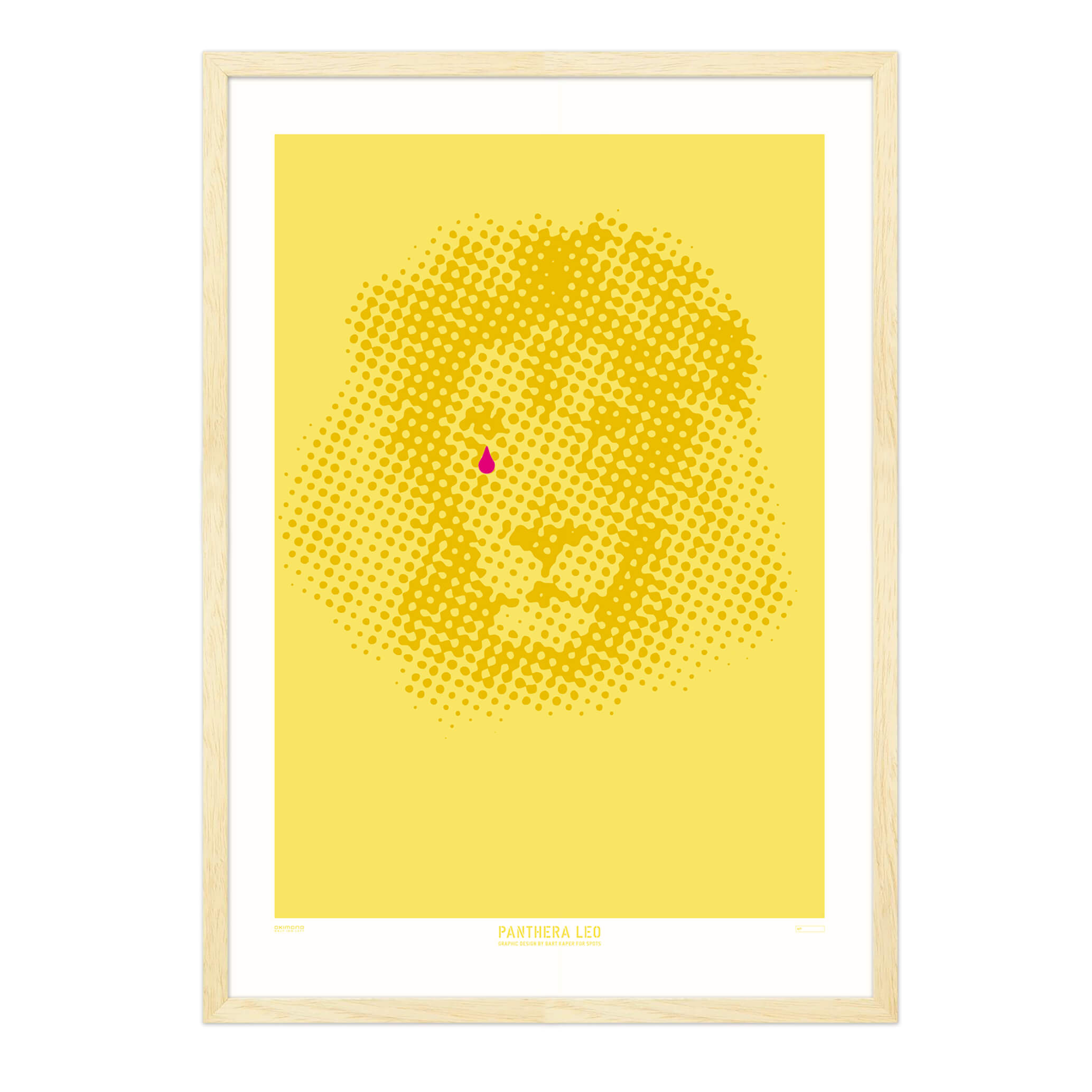 Panthera Leo - A2