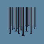 A Forest