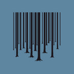 A Forest