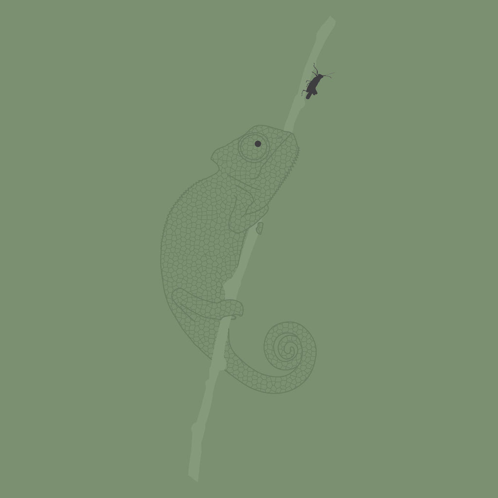 Karma Chameleon