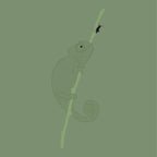 Karma Chameleon