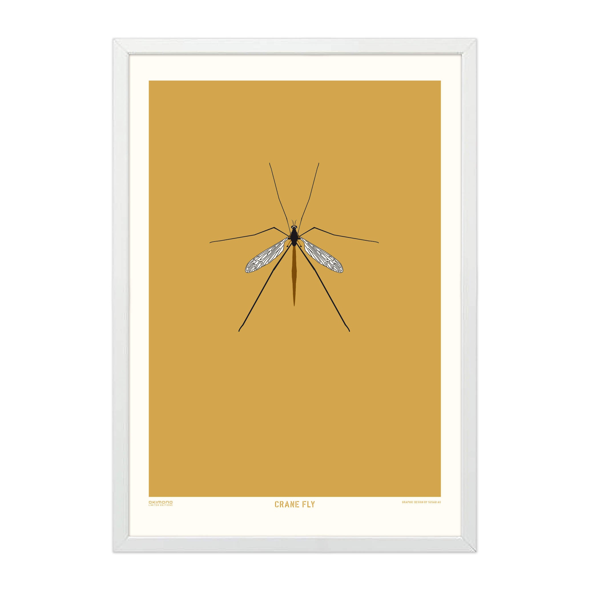 Crane Fly - A4
