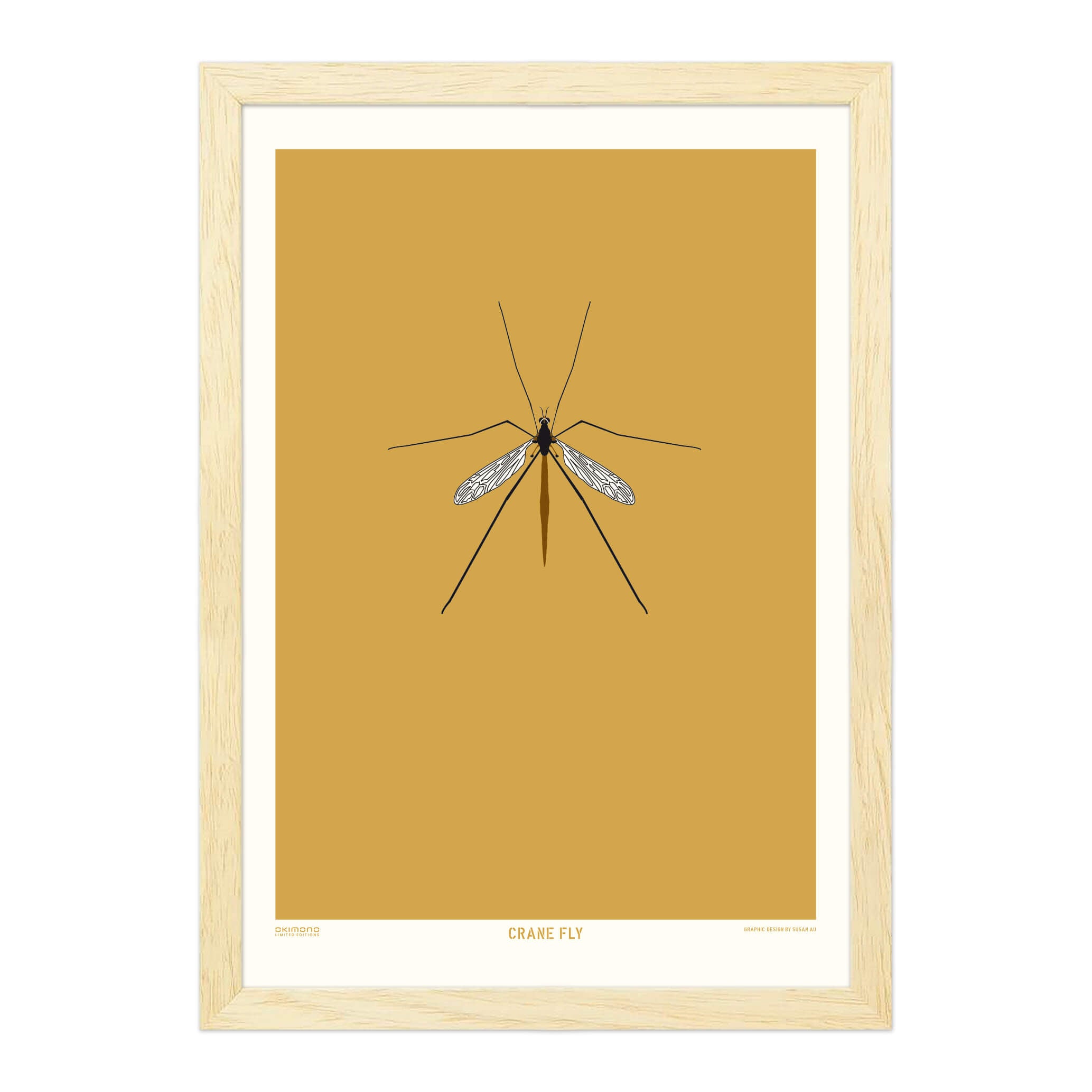 Crane Fly - A4