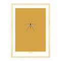 Crane Fly - A2