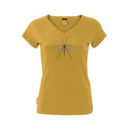Crane Fly