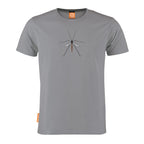 Crane Fly