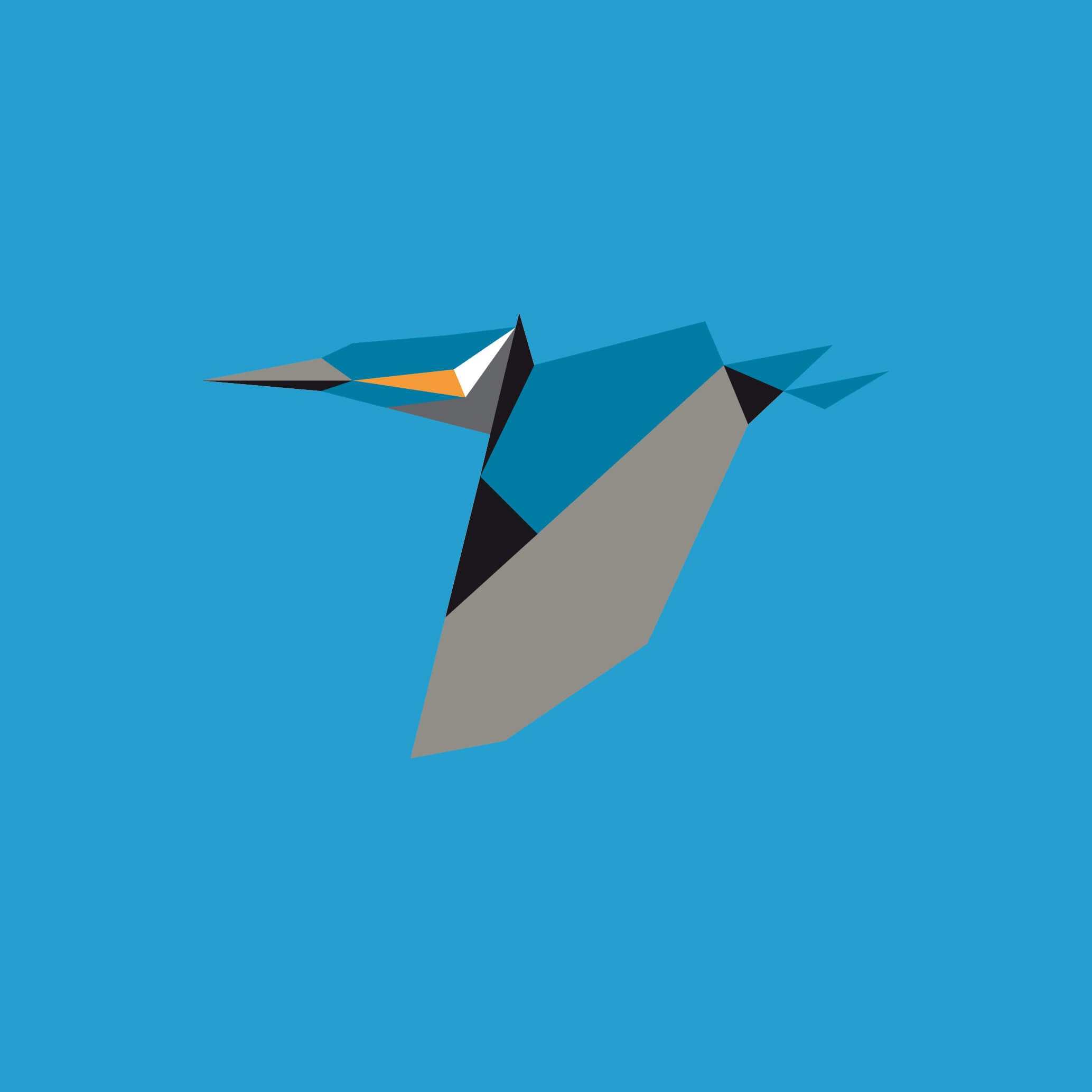Alcedo Atthis