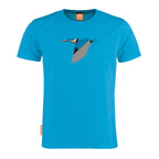 Alcedo Atthis