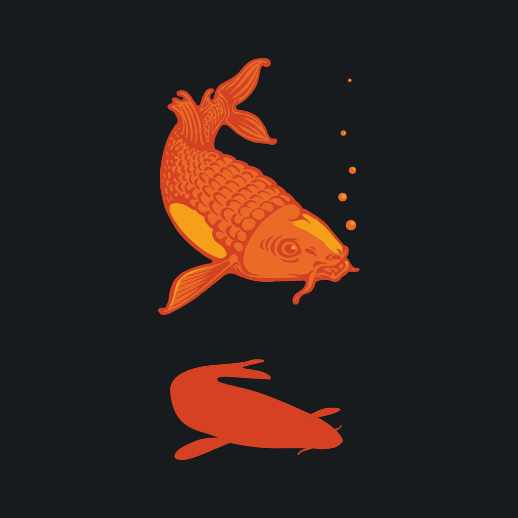 Koi