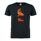 Koi