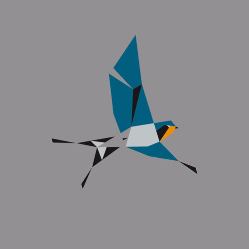 Hirundo Rustica