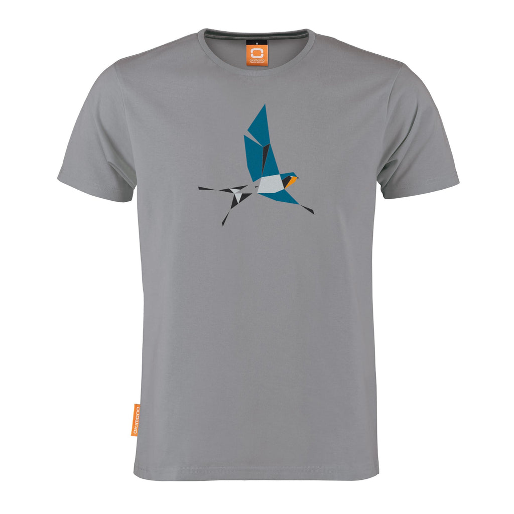 Hirundo Rustica