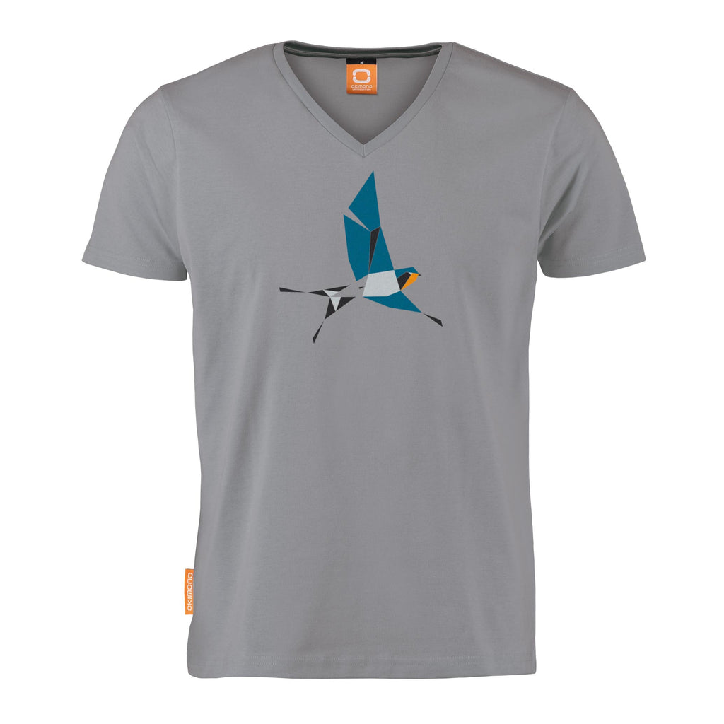 Hirundo Rustica