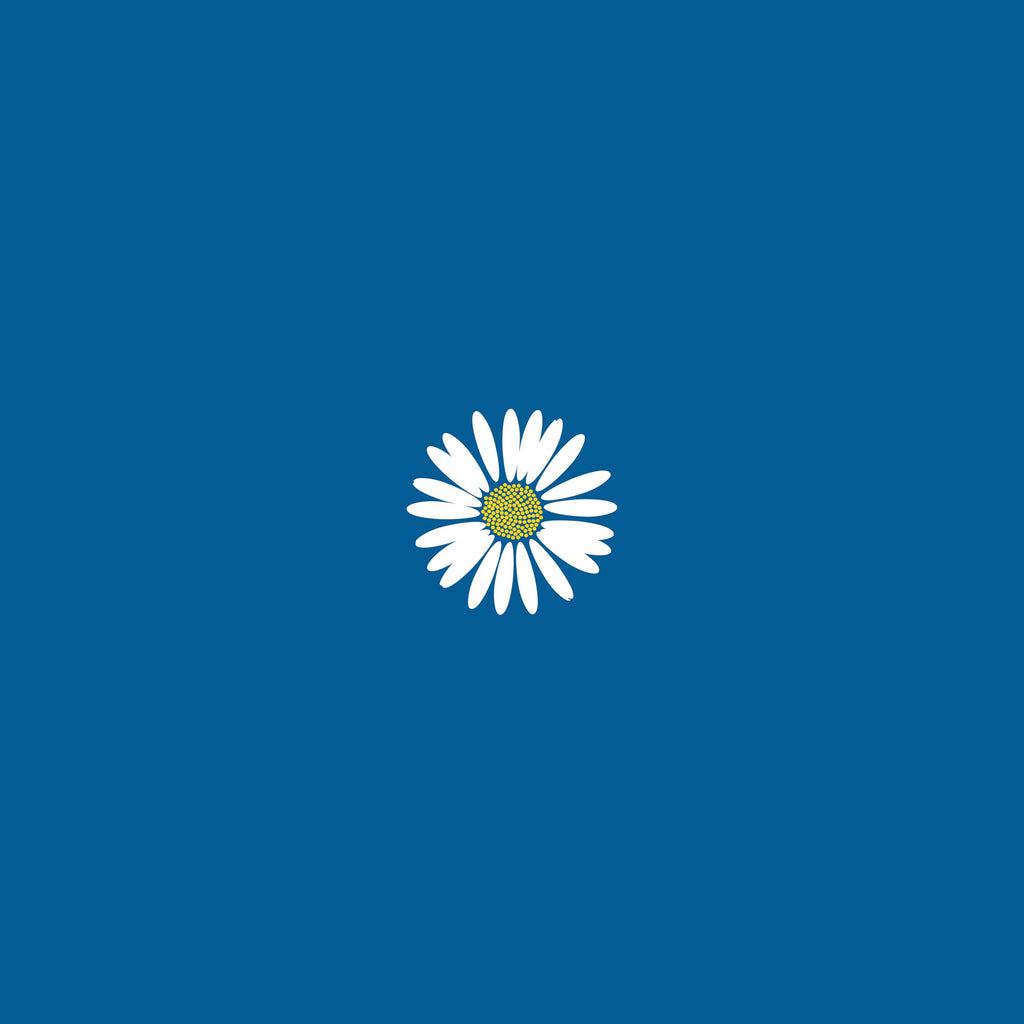 Bellis Perennis